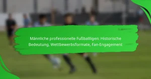 Männliche professionelle Fußballligen: Historische Bedeutung, Wettbewerbsformate, Fan-Engagement