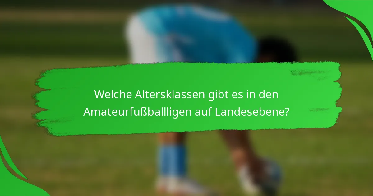 Welche Altersklassen gibt es in den Amateurfußballligen auf Landesebene?