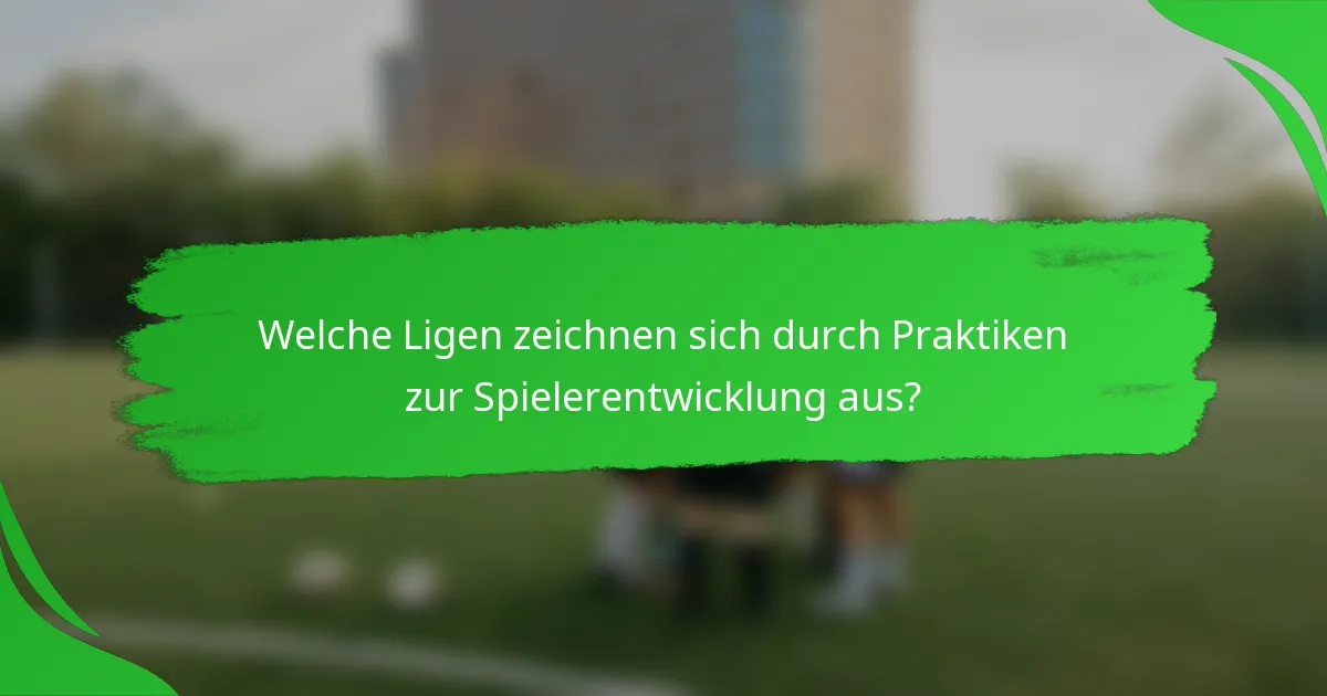 Welche Ligen zeichnen sich durch Praktiken zur Spielerentwicklung aus?