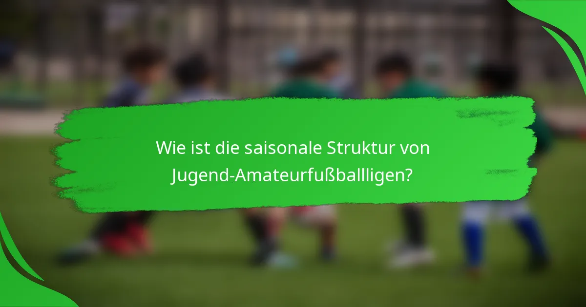 Wie ist die saisonale Struktur von Jugend-Amateurfußballligen?